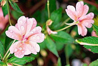 VR游戏《超级掌门狗大逃亡》Steam页面 发售日待定